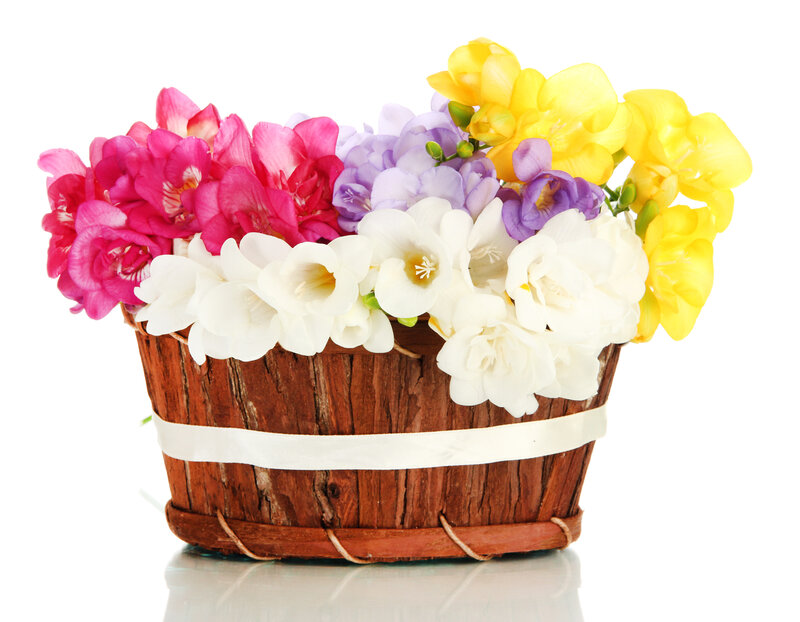 Colorful Flowers in Basket — White