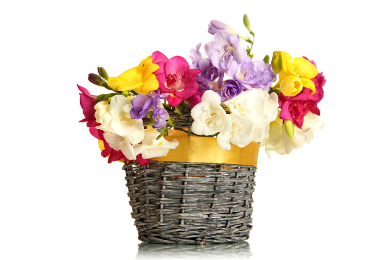Colorful Flowers in Basket — Yellow, Bright
