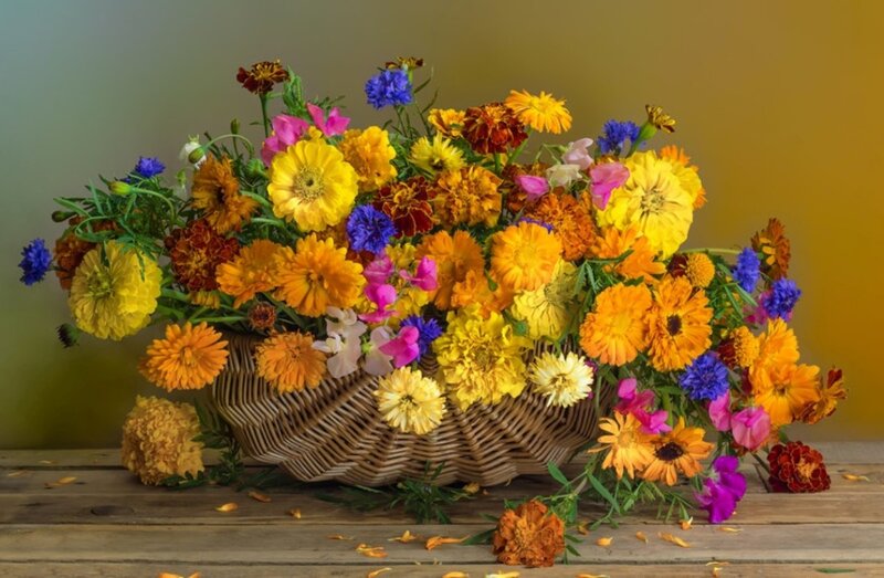 Colorful Flowers in Basket — Yellow, Vibrant