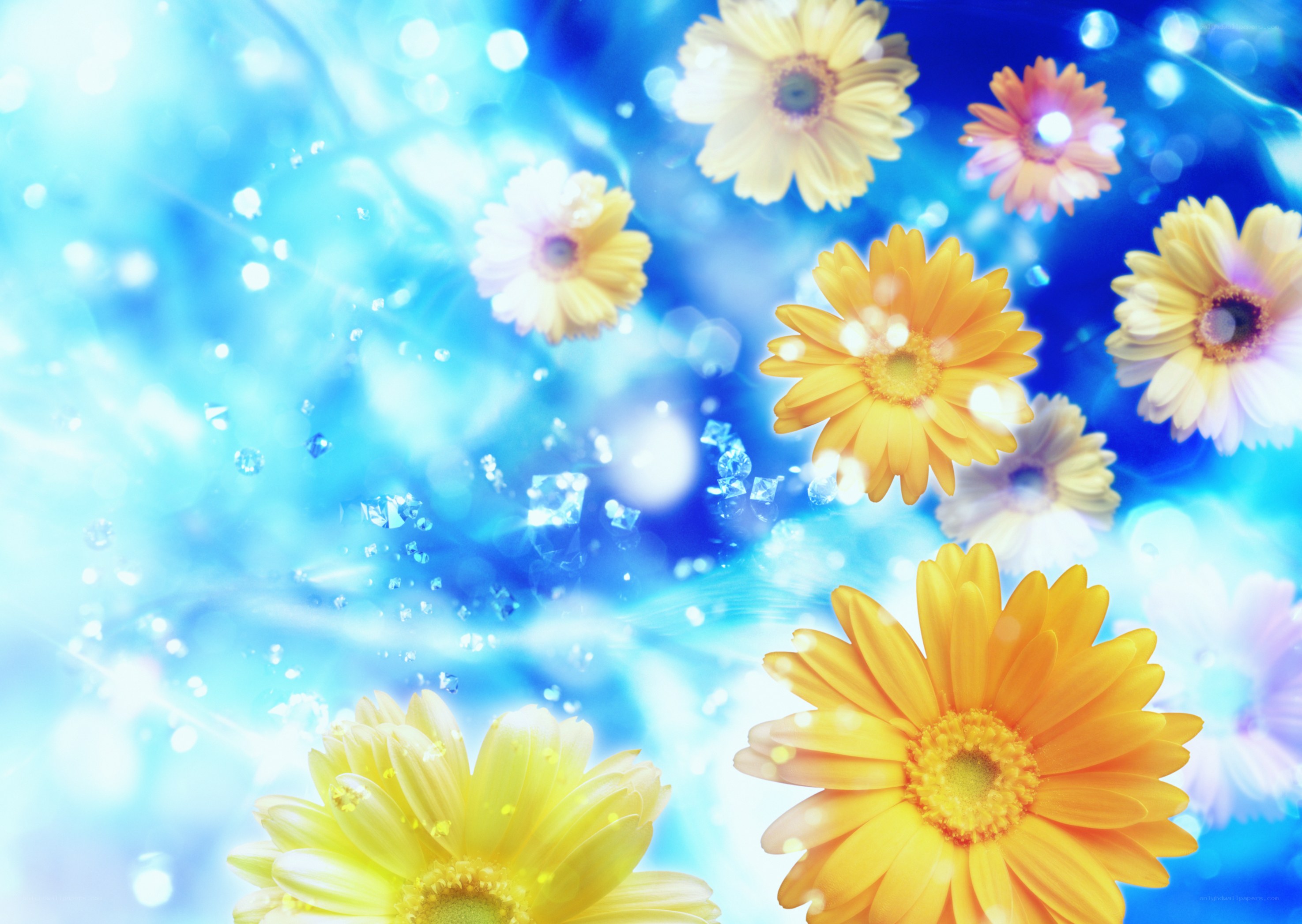 Colorful flowers in blue light