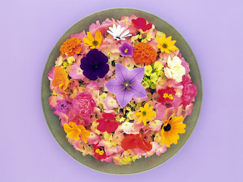 Colorful Flowers in Bowl