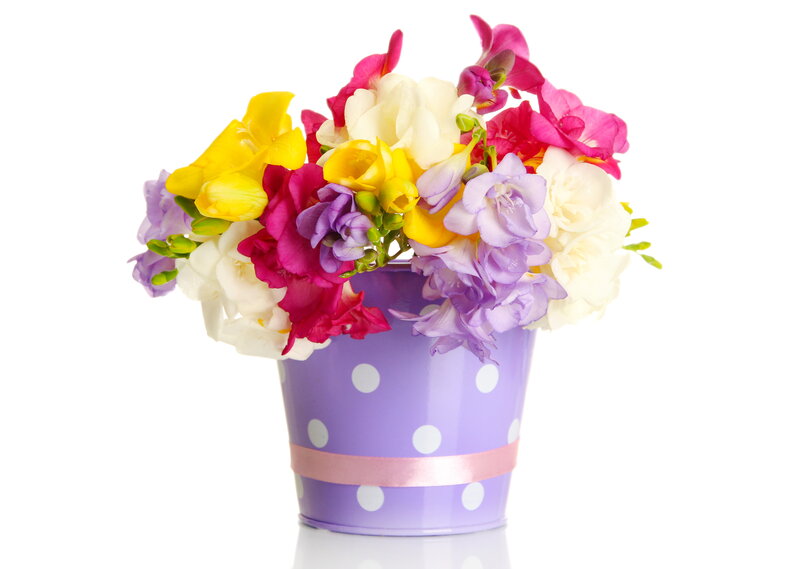 Colorful Flowers in Bucket