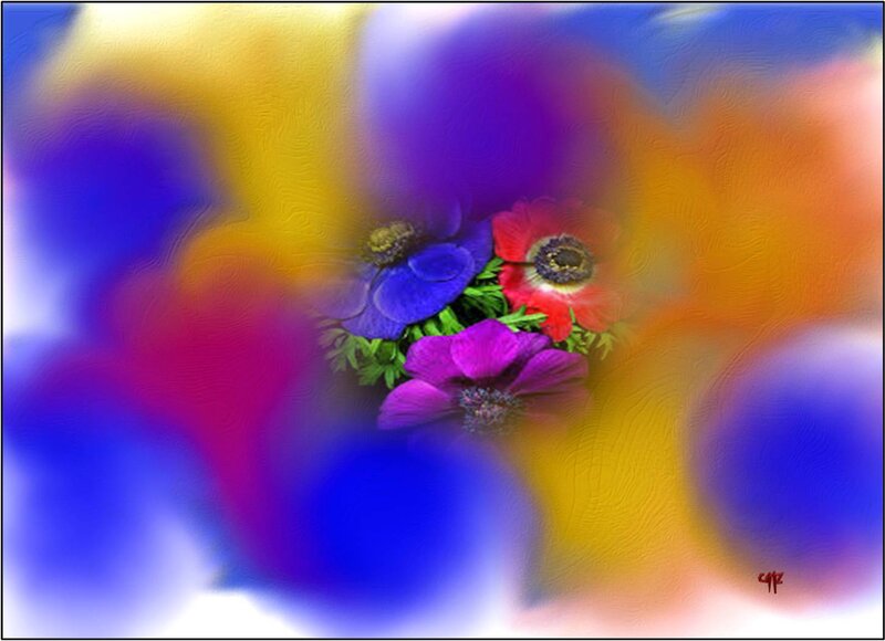 Colorful Flowers in Center