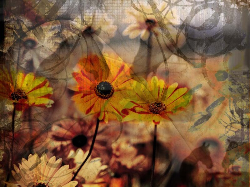 Colorful Flowers in Collage