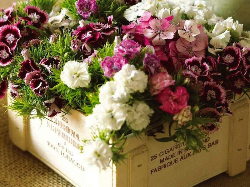 Colorful Flowers in Crate