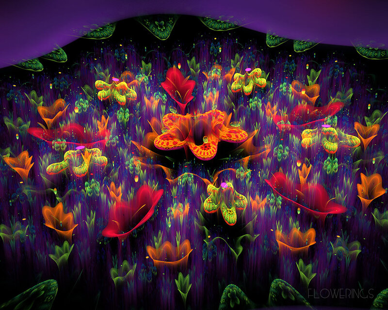 Colorful Flowers in Dark Field