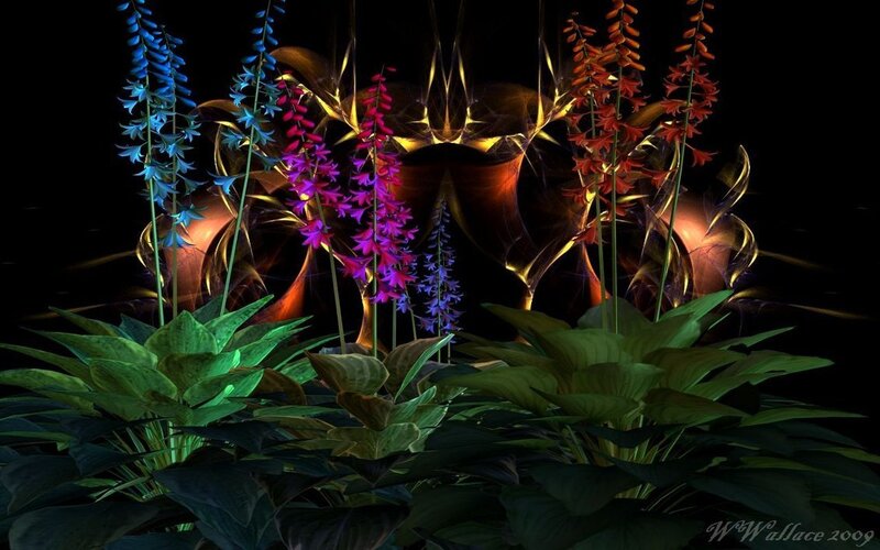 Colorful Flowers in Dark