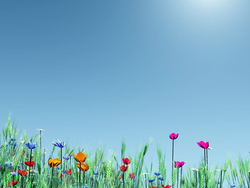 Colorful Flowers in Field — Blue, Serene