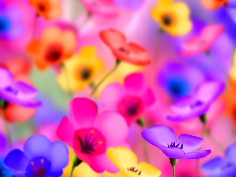 Colorful Flowers in Field — Pink