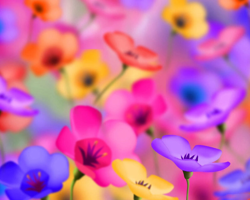 Colorful Flowers in Field — Purple