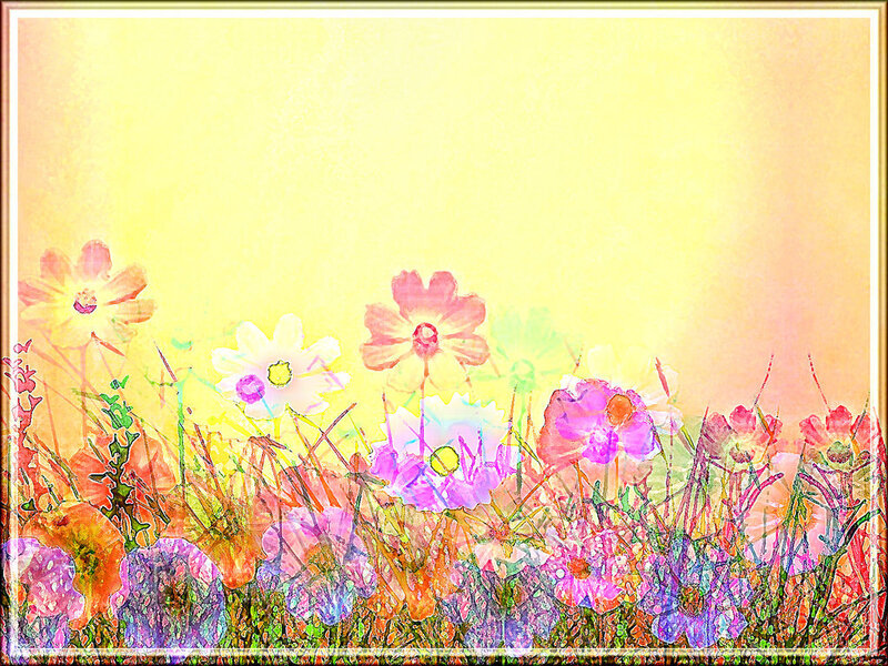 Colorful Flowers in Field — Yellow