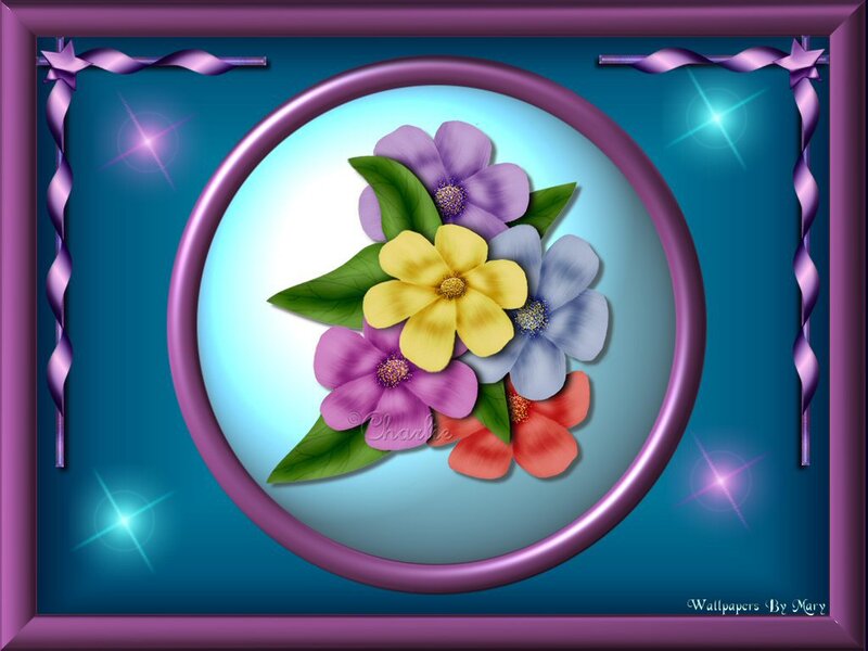 Colorful Flowers in Frame