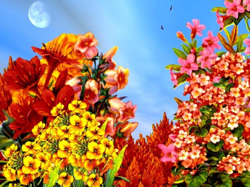 Colorful Flowers in Garden — Yellow