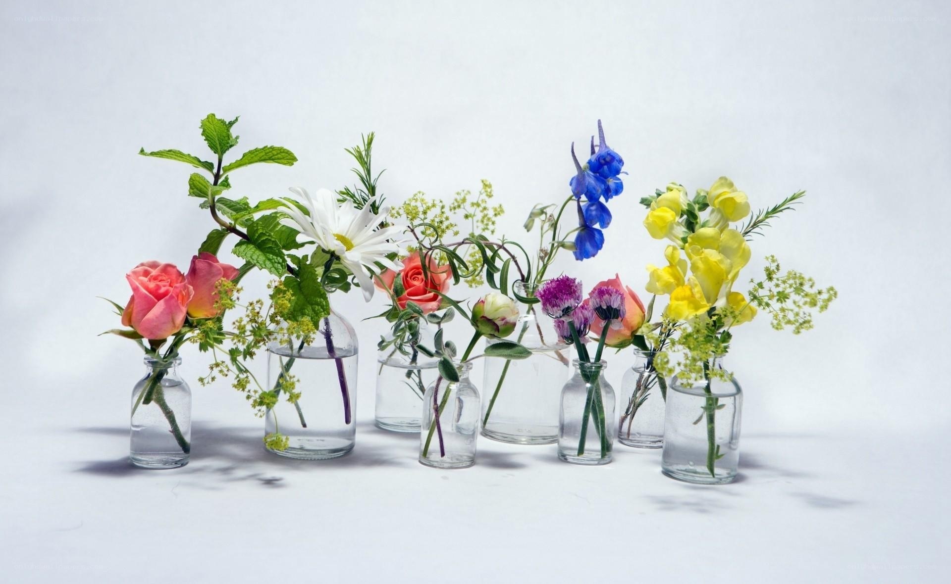 Colorful flowers in glass bottles