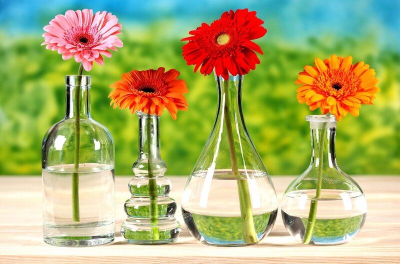 Colorful flowers in glass vases