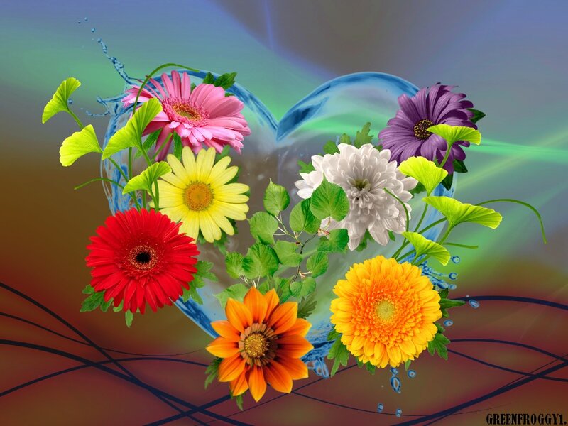 Colorful Flowers in Heart