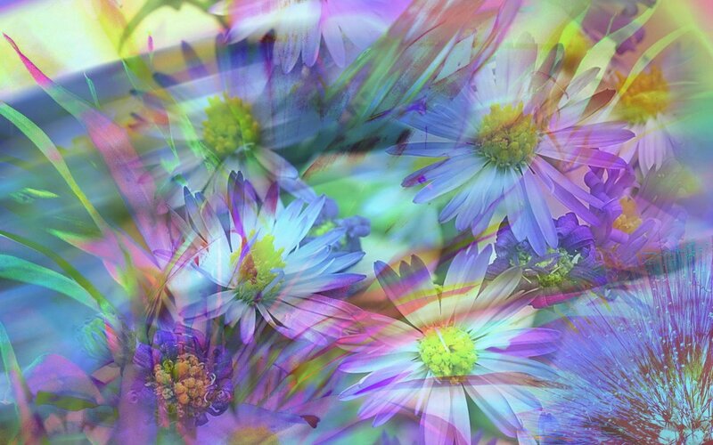 Colorful Flowers in Motion — Purple