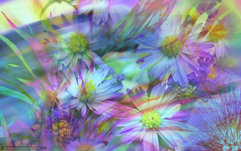 Colorful Flowers in Motion — Purple, Vibrant, Digital Art