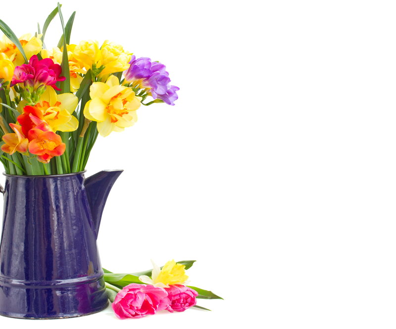 Colorful Flowers in Pitcher