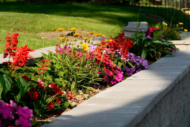 Colorful Flowers in Planter — Red