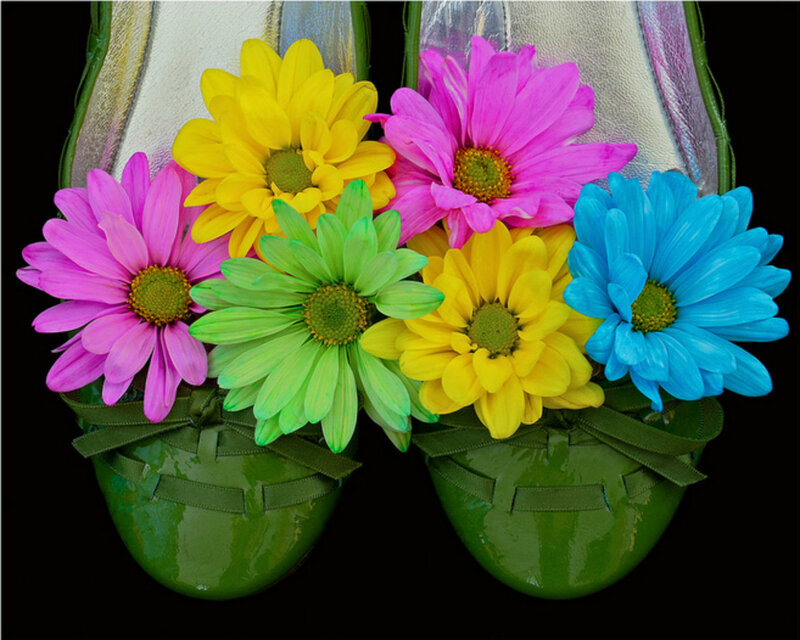 Colorful Flowers in Shoes