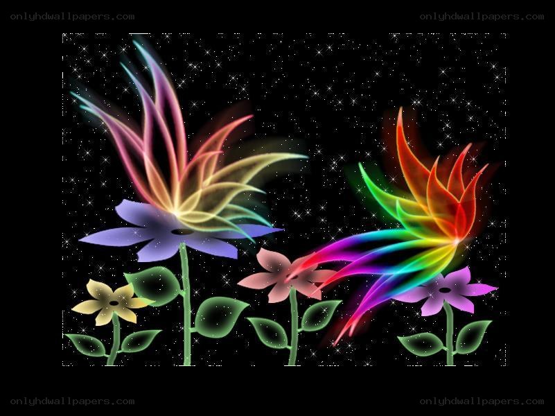 colorful flowers in starry night