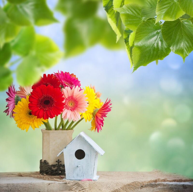 Colorful Flowers in Vase — Green, Serene