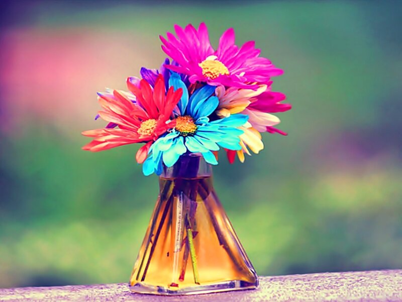 Colorful Flowers in Vase — Pink