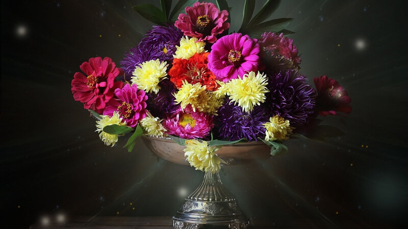 Colorful Flowers in Vase — Purple, Dramatic, Photograph