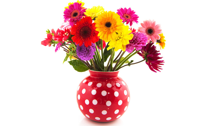 Colorful Flowers in Vase
