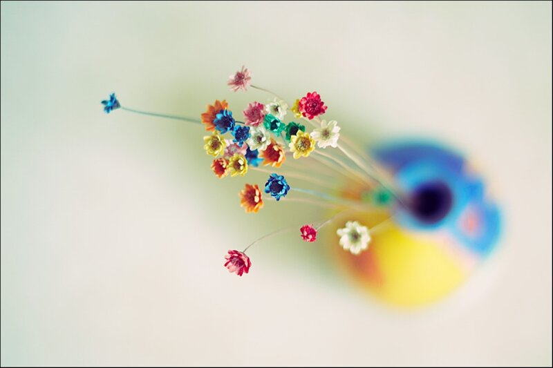 Colorful Flowers in Vase — White