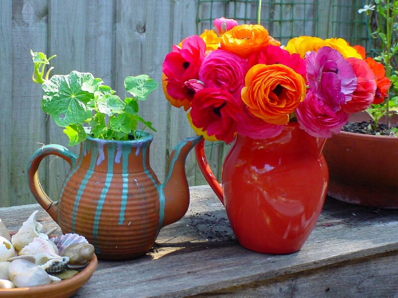 Colorful Flowers in Vases — Red