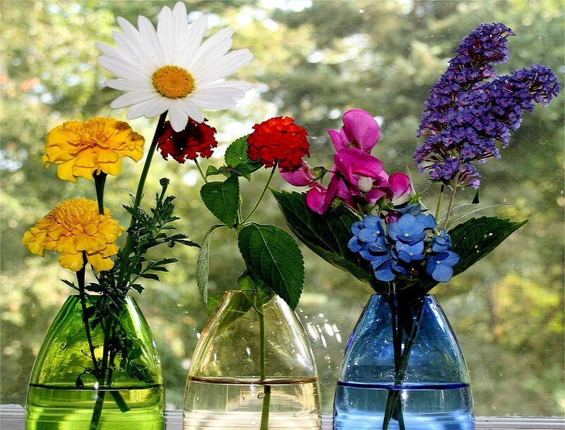 Colorful flowers in vases