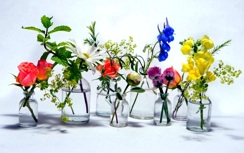 Colorful Flowers in Vases — White