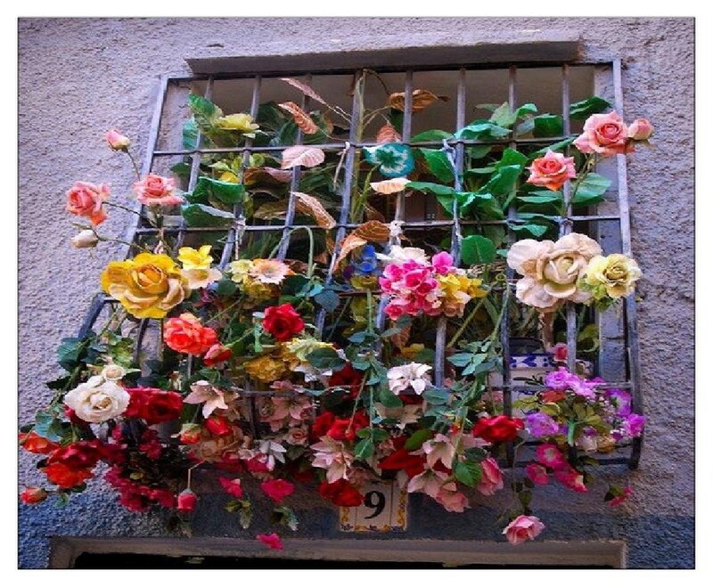 Colorful Flowers in Window