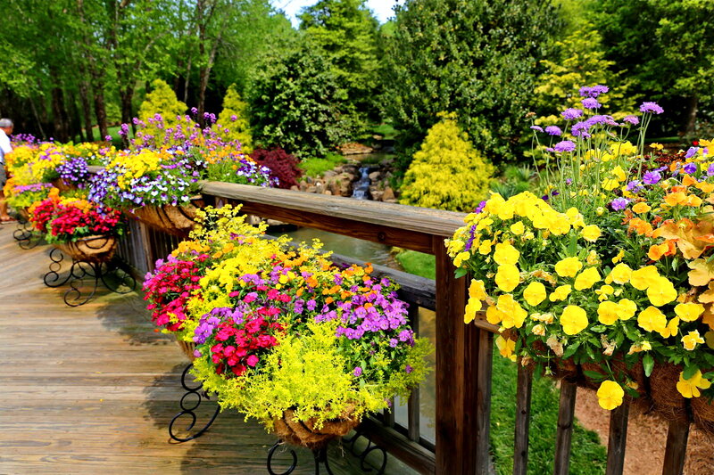 Colorful Flowers on a Deck