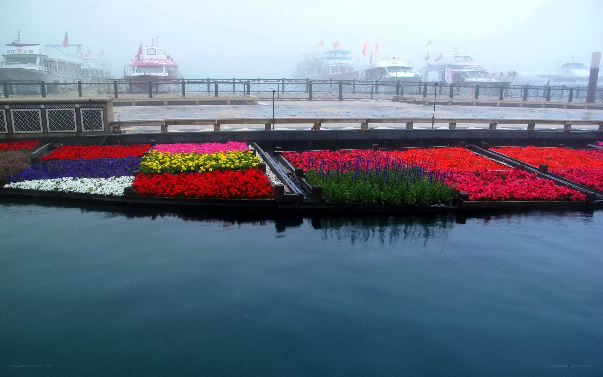 Colorful flowers on a dock