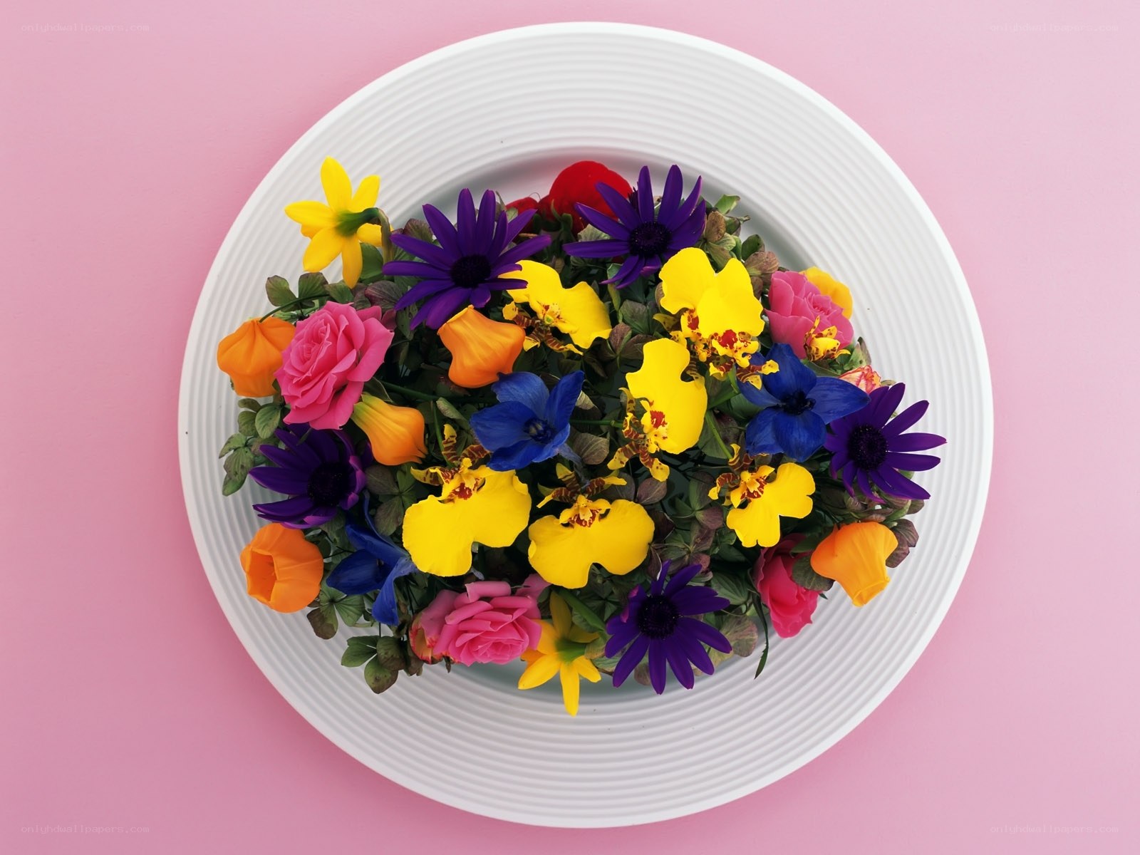 Colorful flowers on a plate