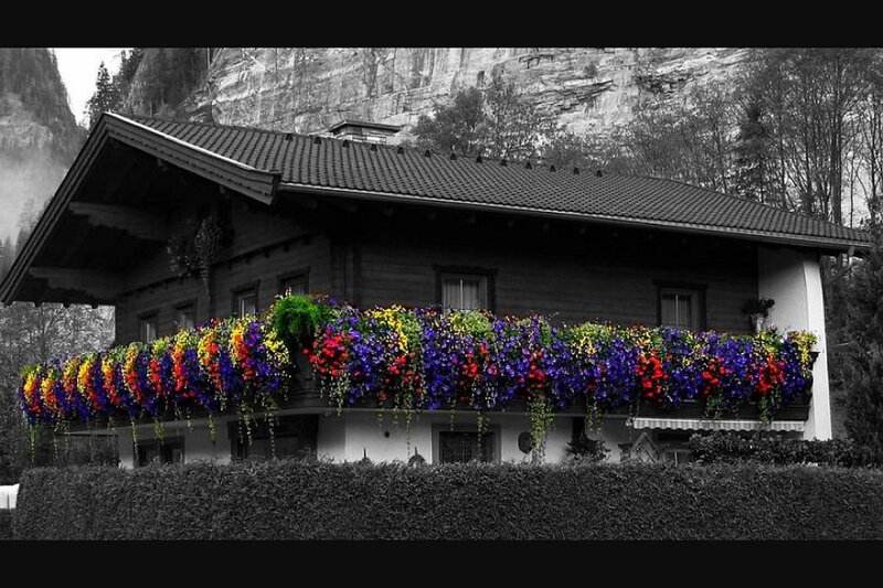 Colorful Flowers on Balcony