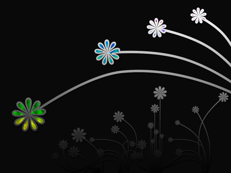 Colorful Flowers on Black — Calm