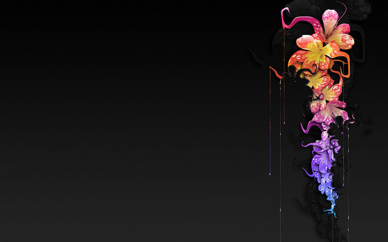 Colorful Flowers on Black — Dramatic, Digital Art, Drips