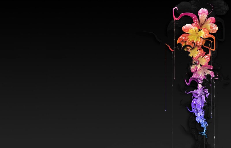 Colorful Flowers on Black — Dramatic, Digital Art