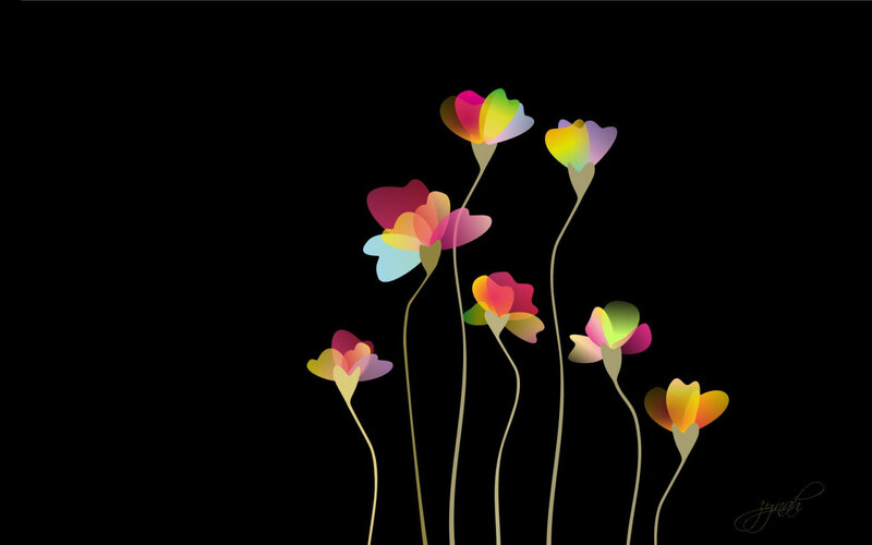 Colorful Flowers on Black — Serene