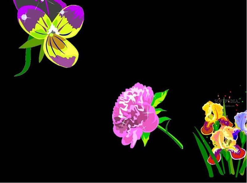 Colorful Flowers on Black — Vibrant