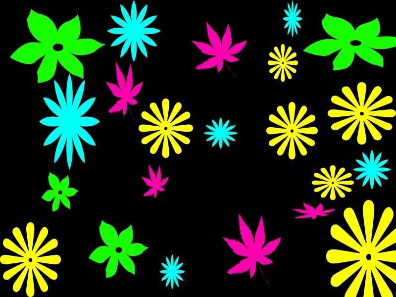 Colorful Flowers on Black — Vibrant, Vector Art