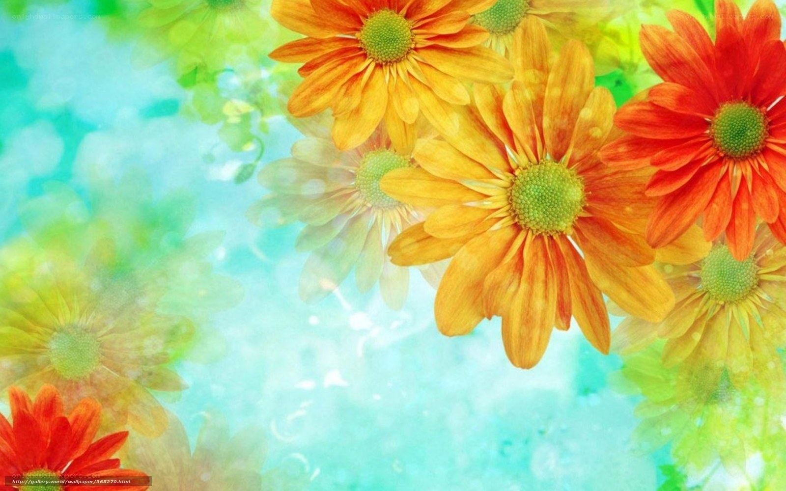 Colorful flowers on blue background