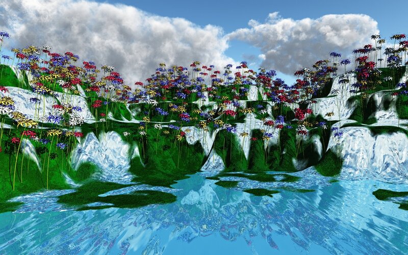 Colorful Flowers on Cliffs