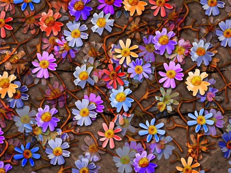 Colorful flowers on cracked earth