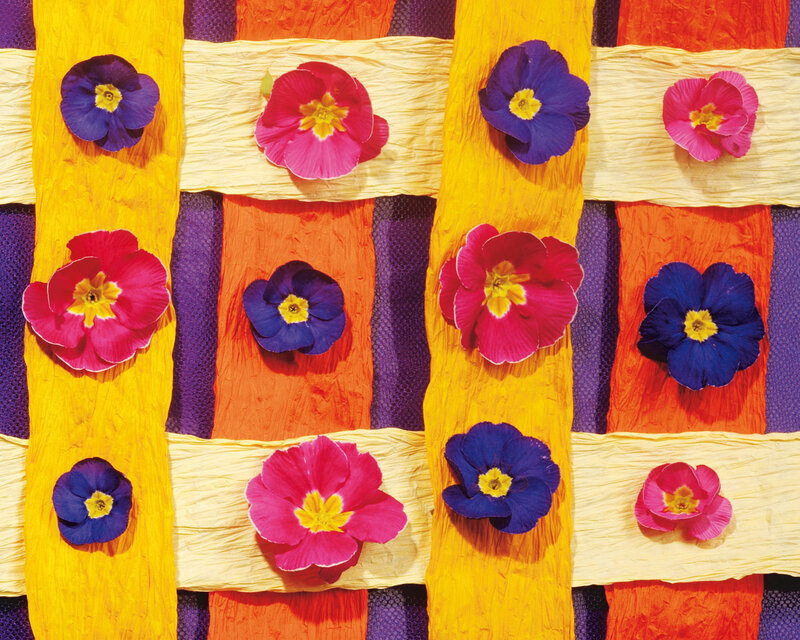 Colorful Flowers on Fabric