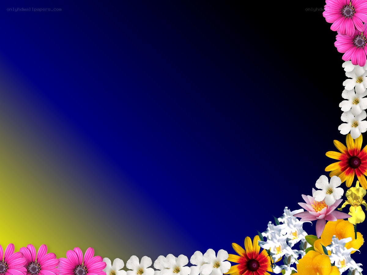 colorful flowers on gradient